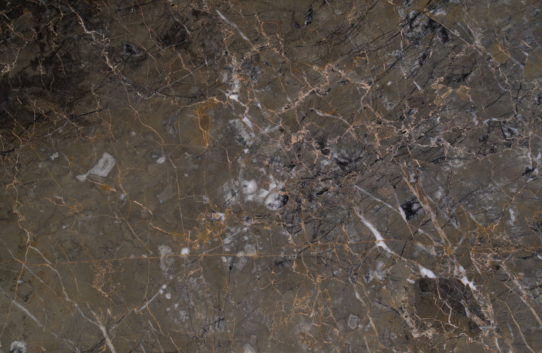 Close-up of dark marble texture showcasing intricate veining and patterns.