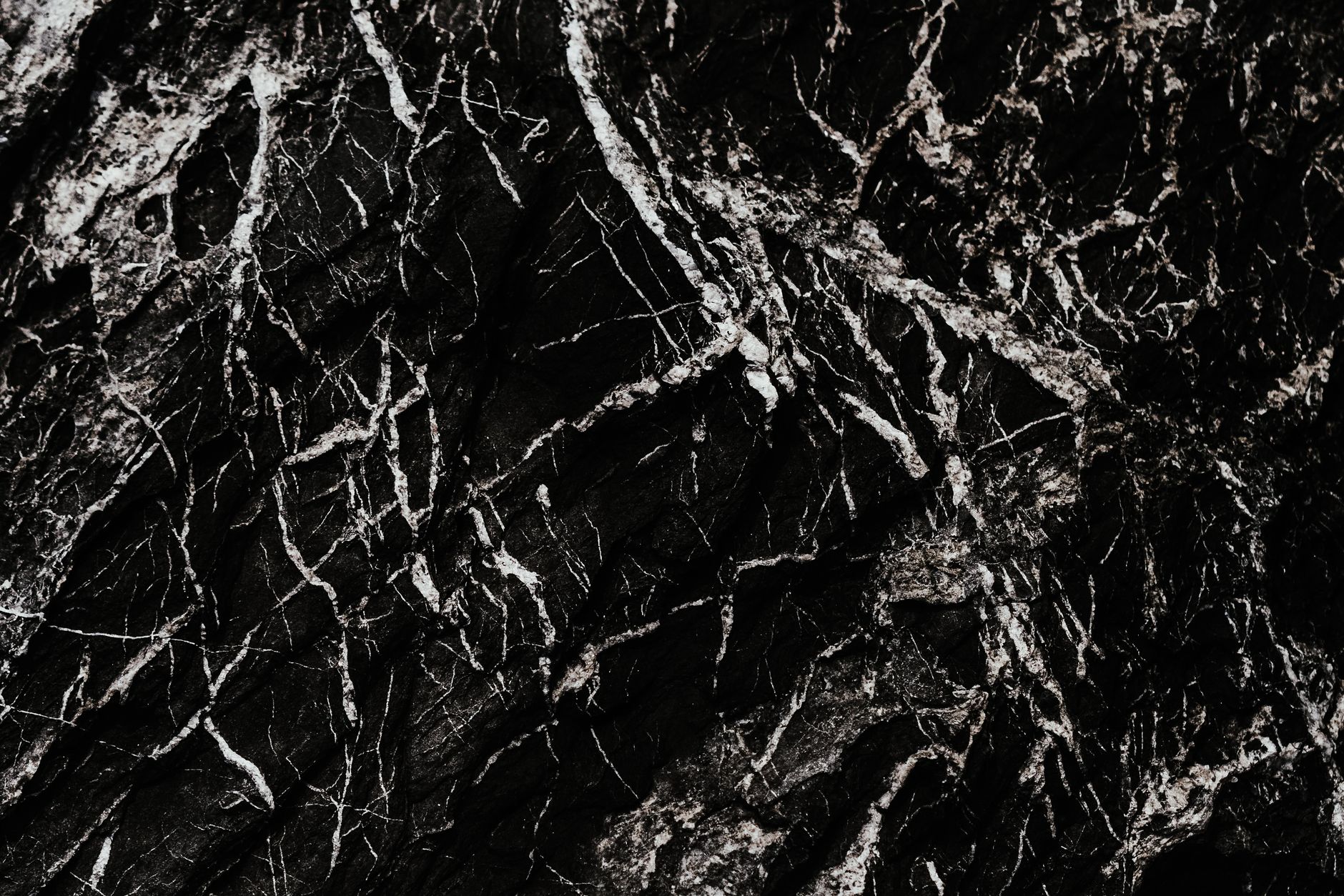 Close-up view of a black marble surface with striking white veins creating an abstract pattern.